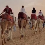 Traditional Camel Ride at Sunset in Timlalin Dunes Agadir